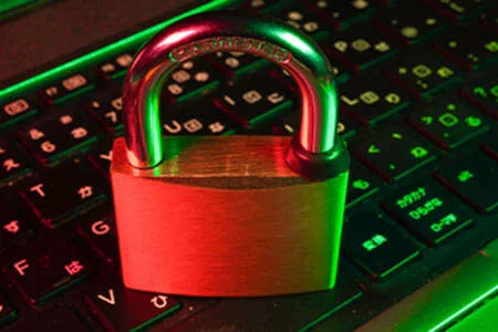 EFFICIENT IP: El 95% de las empresas sufrió ataques DNS en 2024, según Forrester y EfficientIP